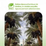 0rigines de nos dattes ajwa