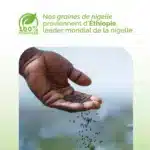 Origines des gélules de graine de nigelle
