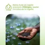 D'où provient notre huile de nigelle ?