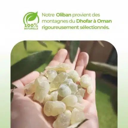 Infographie-Origines-oliban-Oman