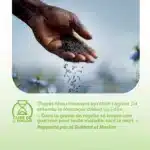 Hadith sur l'huile de nigelle