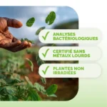 Qualité de la tisane de desmodium