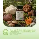 Que contient le complexe 5 champignons ?