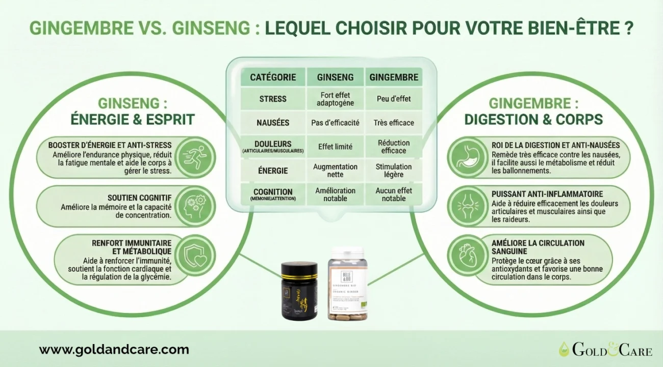 Infographie-ginseng-vs-gingembre