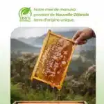 Origines du miel de manuka