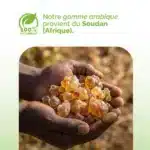 Origines de la gomme arabique du Soudan