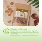 Usages traditionnels de la gomme arabique du Soudan