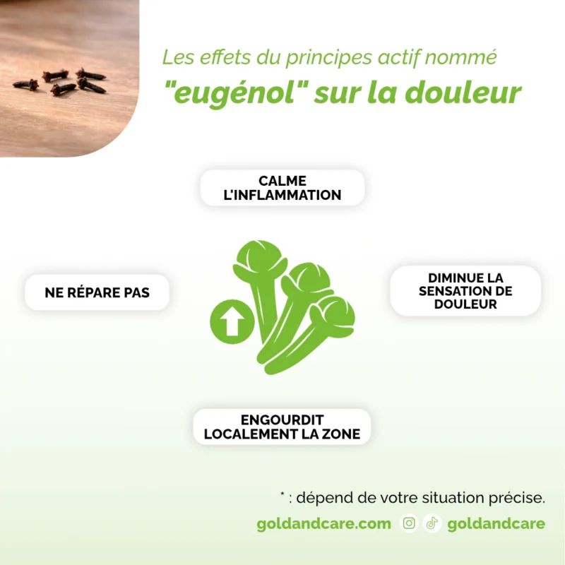 Comment les clous de girofle agissent chimiquement sur les maux de dents ?