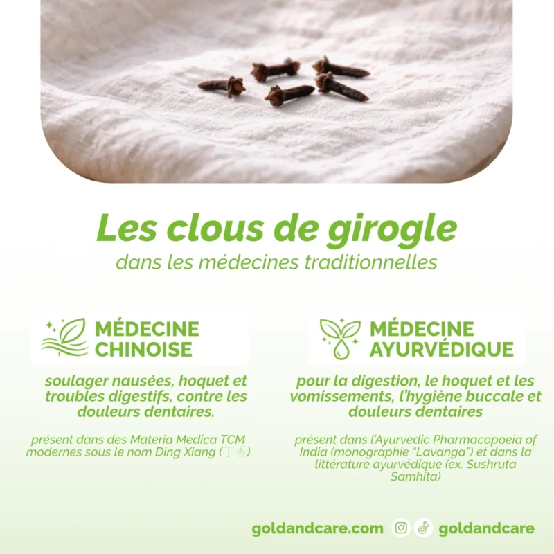 Infographie Les clous de girofles dans les médecines traditionnelles