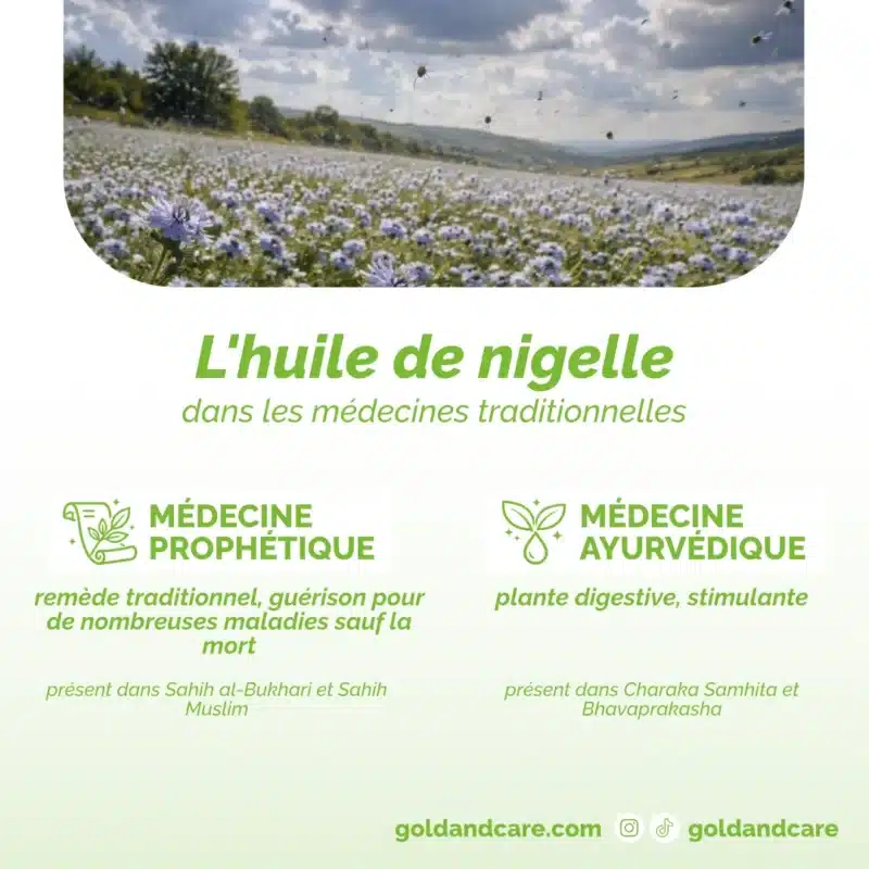 La nigelle dans les médecines traditionnelles