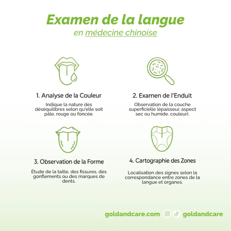Que regarde exactement un praticien en MTC au niveau de la langue